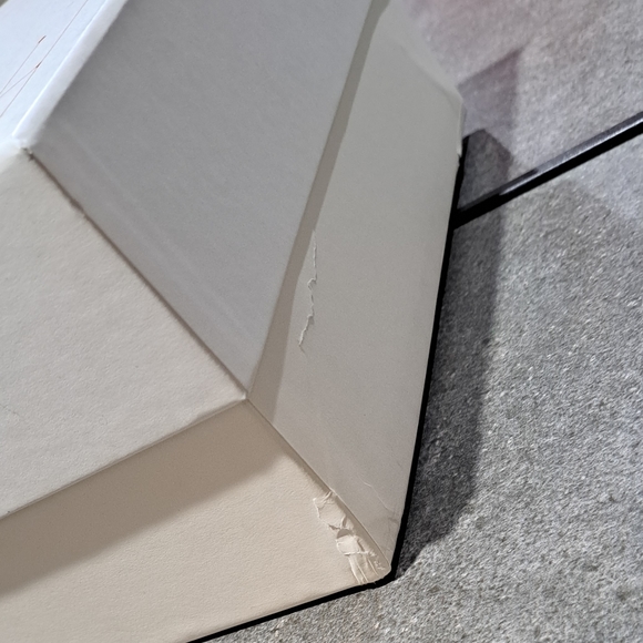 Alexander McQueen Shoe Box - Picture 6 of 11